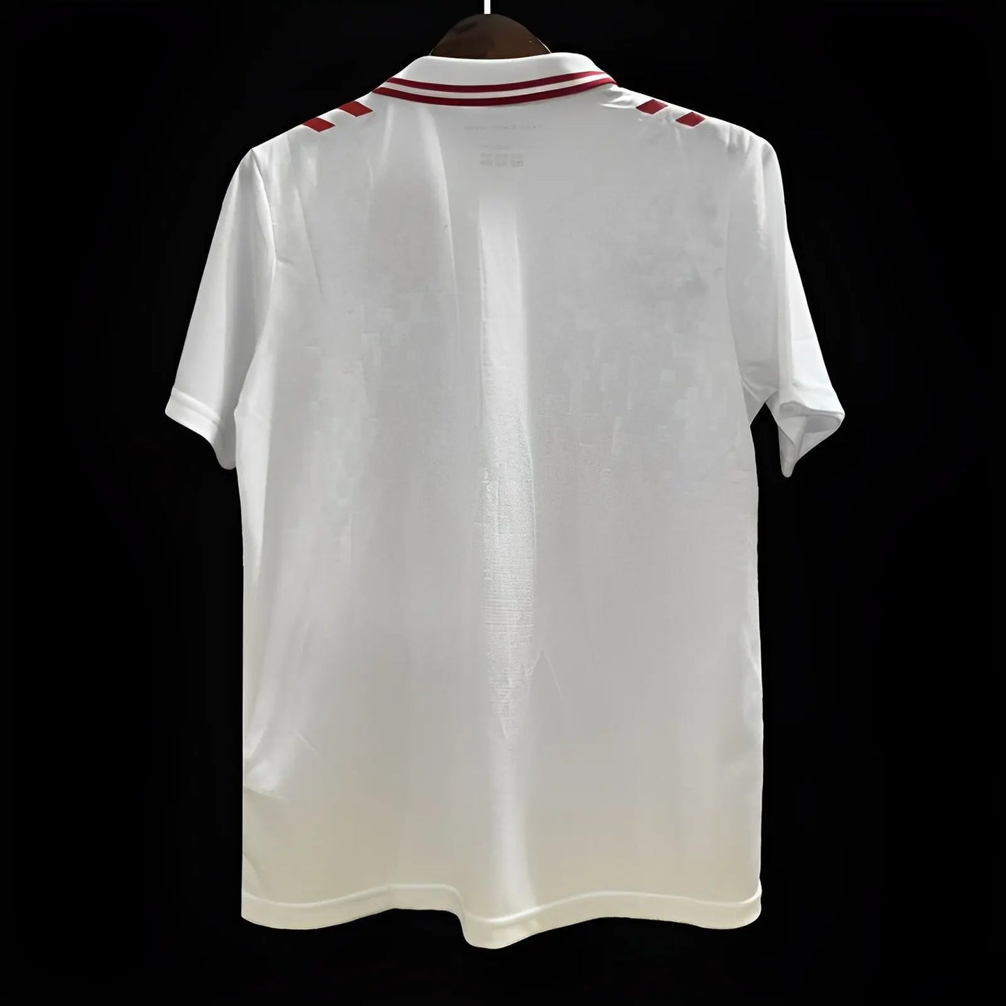 Maillot 24/25 Danemark Blanc - Zone du Maillot